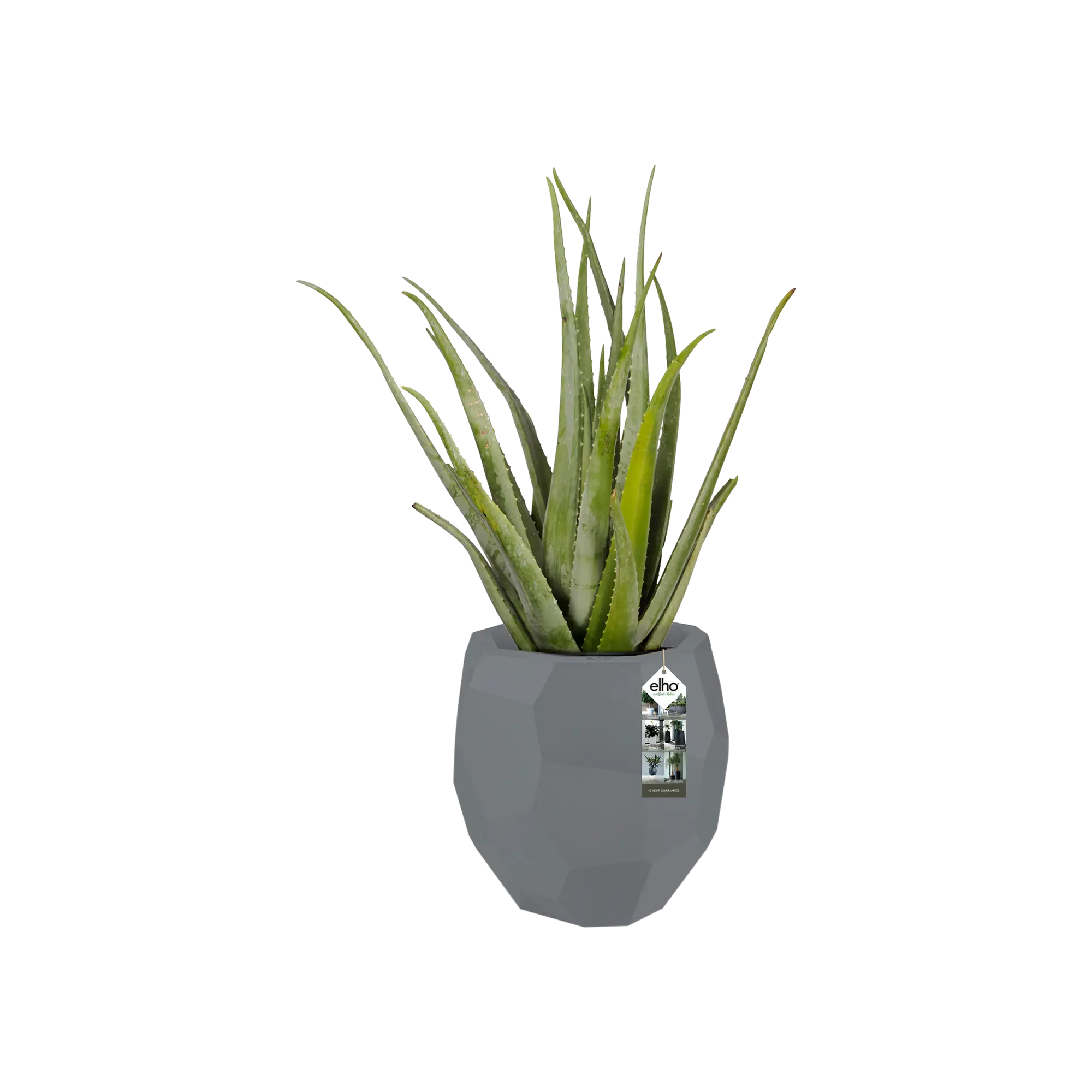 Elho Pure Edge 40 (Grey) - Image 3