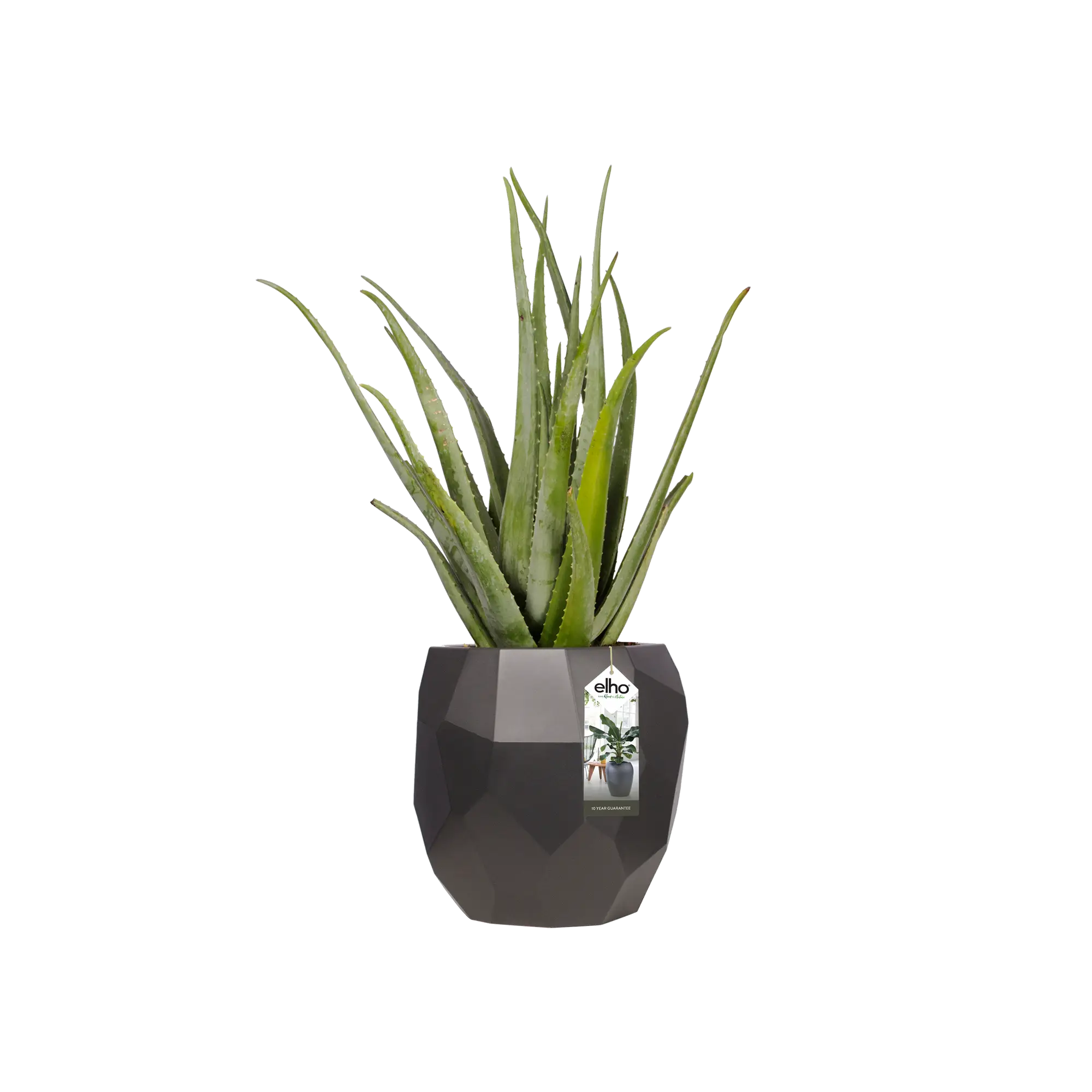 Elho Pure Edge 40 (Black) - Image 3