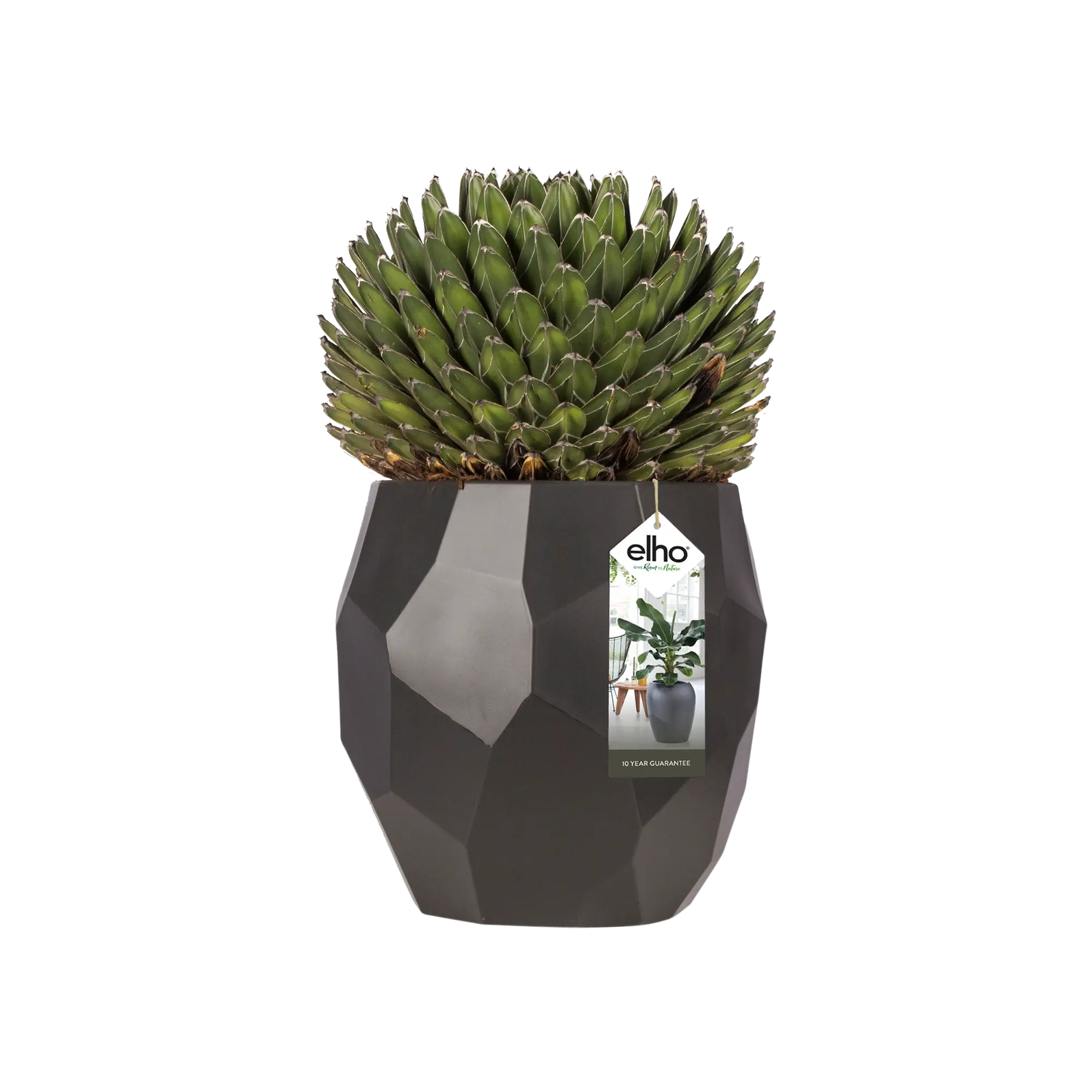 Elho Pure Edge 40 (Black) - Image 5