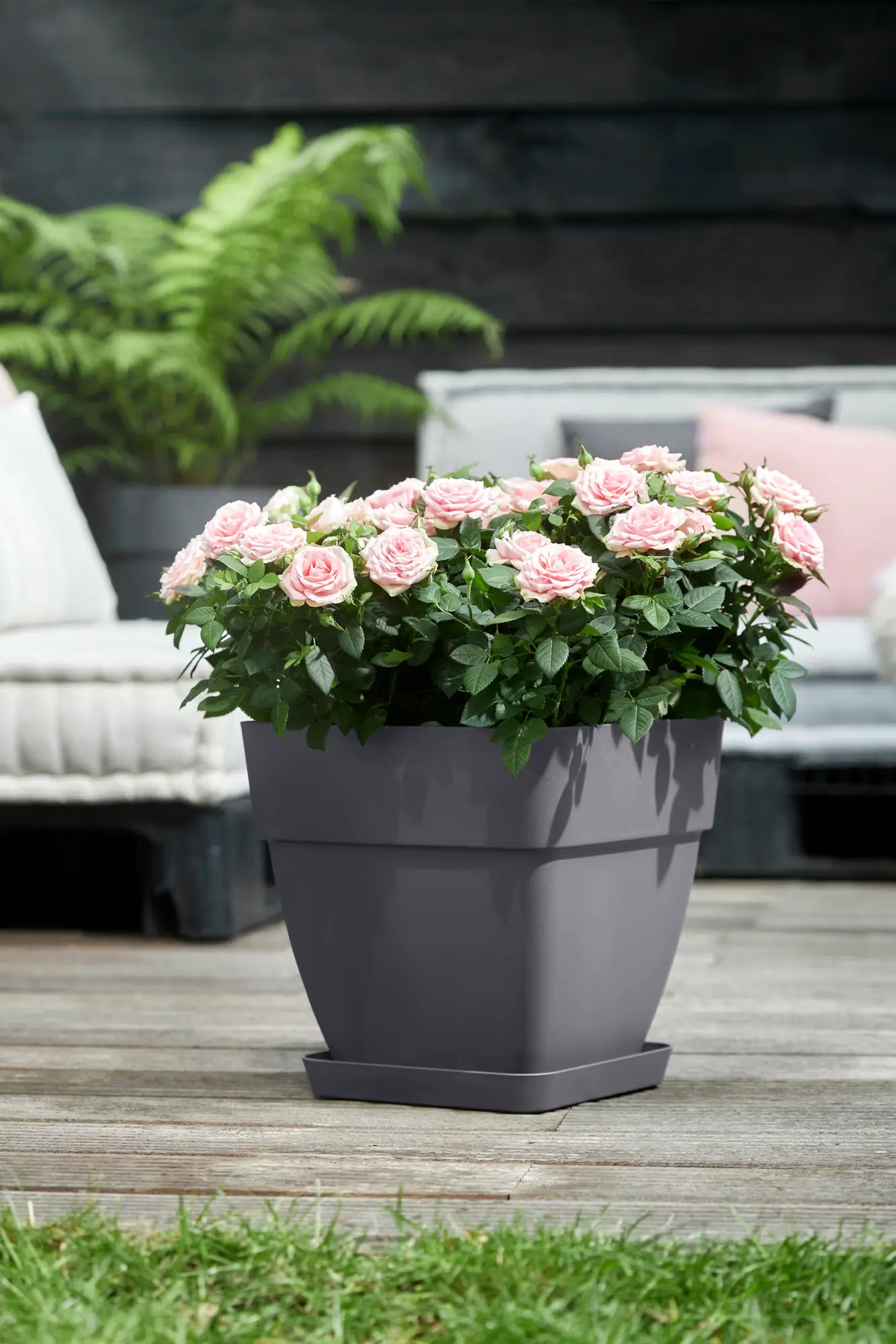 Elho Loft Urban Saucer Square 22 (Anthracite) - Image 3