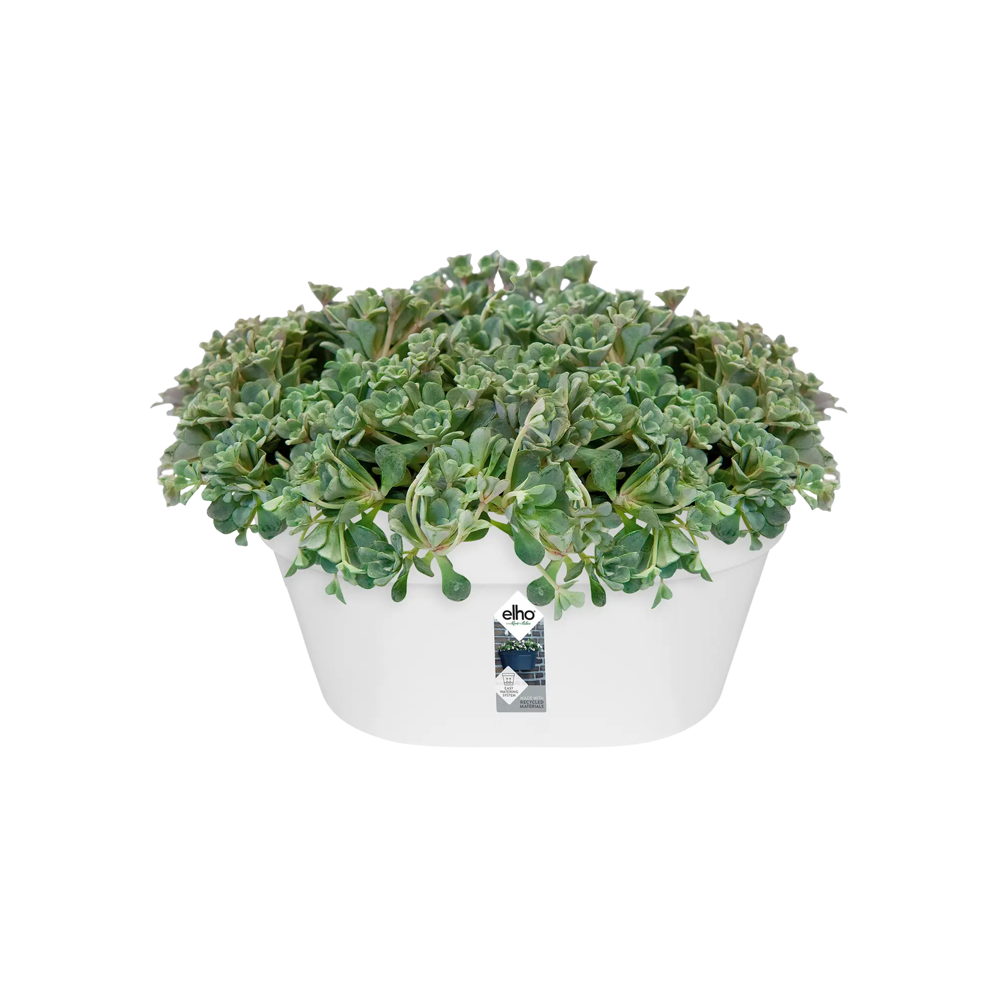 Elho Loft Urban Wall Basket 40 (White) - Image 3