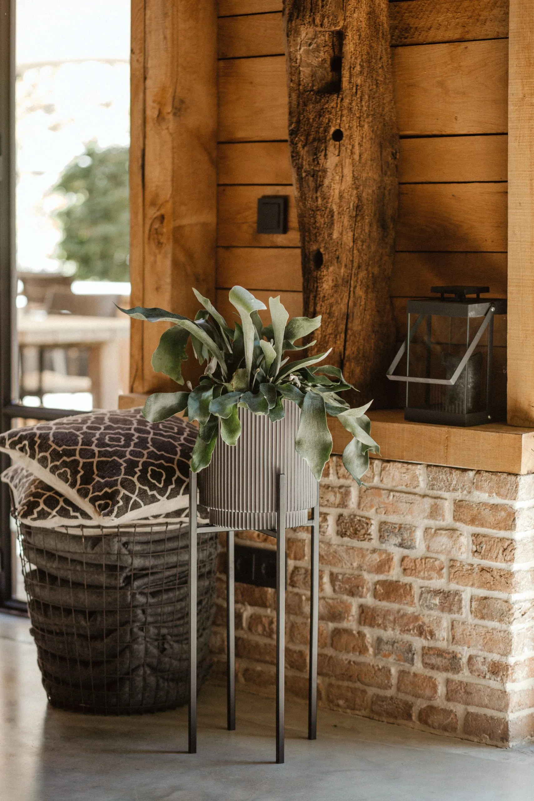 Indoor Nature Groove Cylinder Planter (Anthracite) - 19cm Dia - Image 3