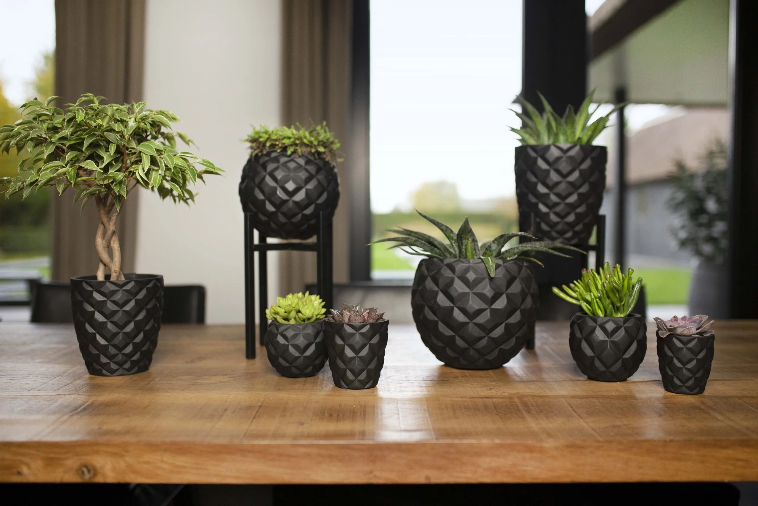 Indoor Lux Heraldry Tapered Planter (Black) - 14 Cm Dia - Image 2