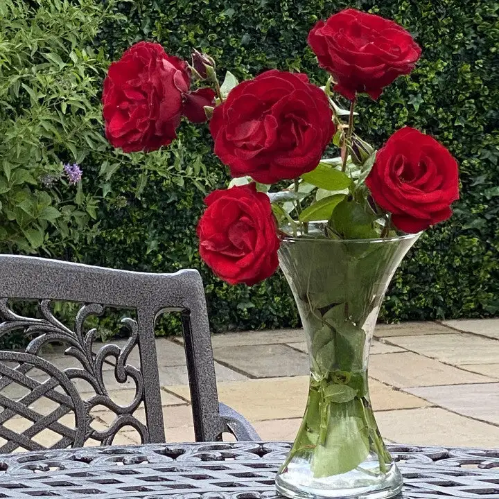 Toulouse - 4 Seater Set With Round Table (Bronze) - Image 4